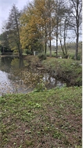 Photo numero 44931541 du bien UBI446085749